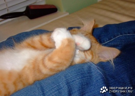 ������� ��� :)