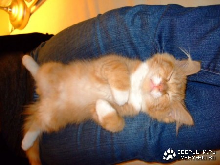 ������� ��� :)