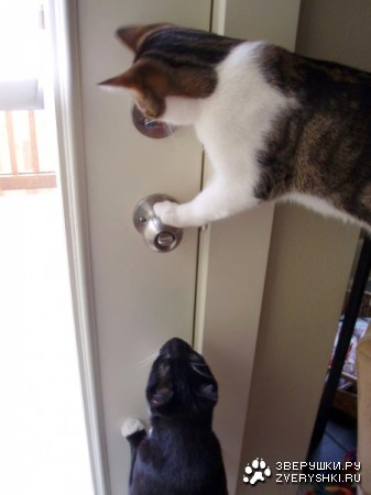 ��������� ��� ������! :)