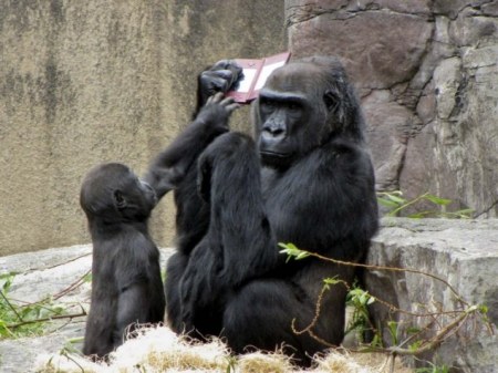 ��������� �������� �� ������� ;)