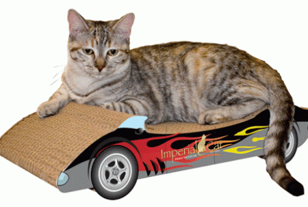 ��� ���������� ������!