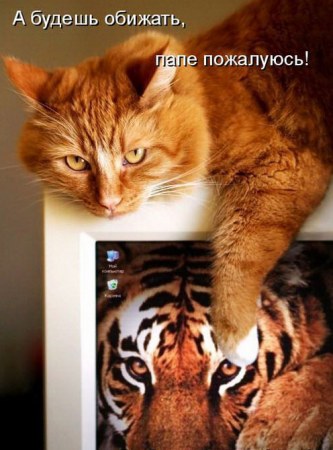 �������� ����� (3 ����)