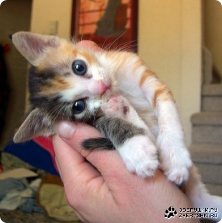 ����� ��������� ������� �������!