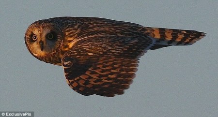 � ����! :)