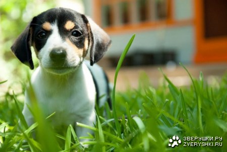 �������� ��� ������ ������! :)