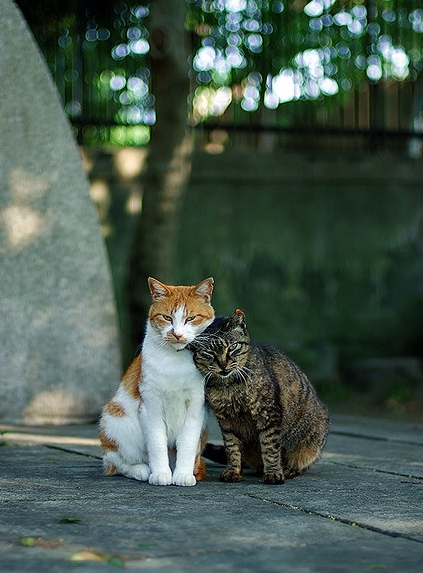 ������� � ������ (15 ����)