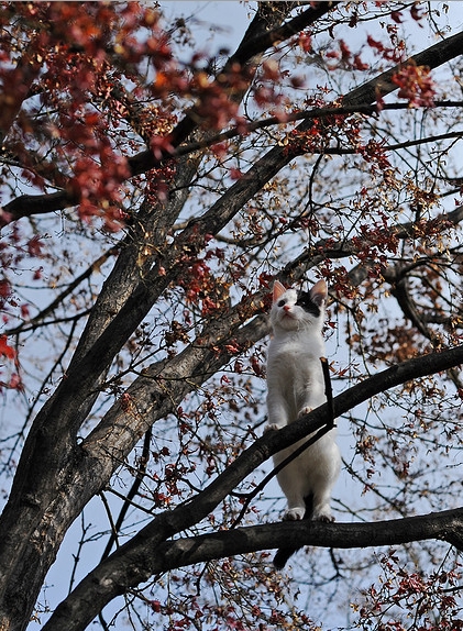 ������� � ������ (15 ����)