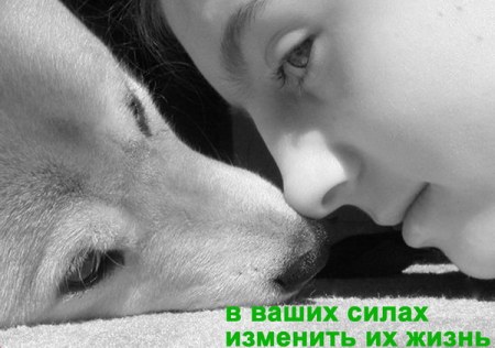 ����������������� ���� ������ �������� "���"!