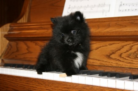 �������� �� �����? :)