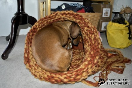 ������ ����� ���������� ;)