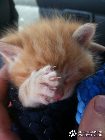 ������, � � ������ :)