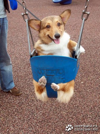 ������� ������ :)