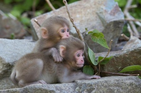 ������������� ;)