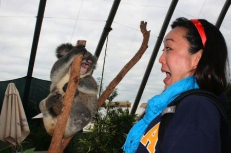 ������� �������� (7 ����)