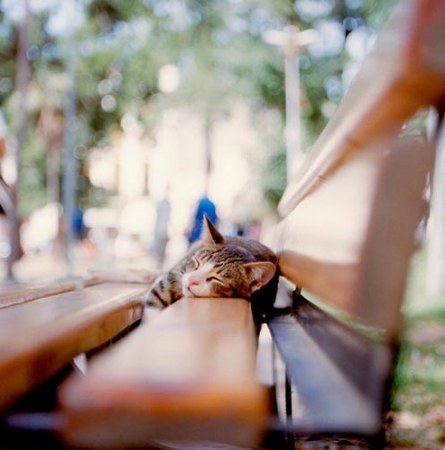 ������� � ������ (15 ����)