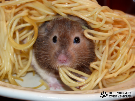 �� �����? :)