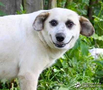 ��� ��������� � ����������!