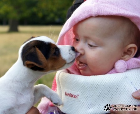 �������� ��� ��� :)