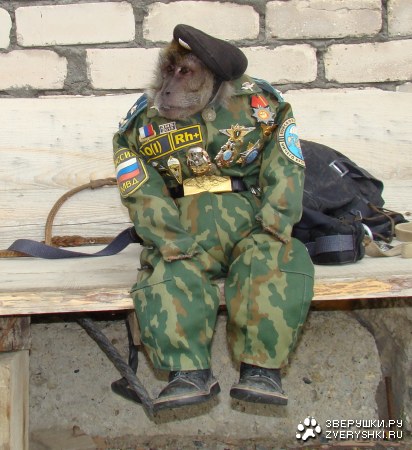 ��������� ���������!