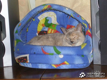 ��� ������ � ����� :)