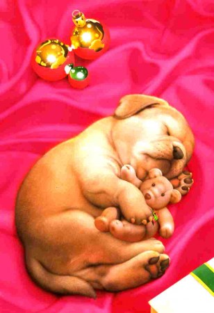 �������� �� ��������� ��������� ������ �������� (27 ��������)