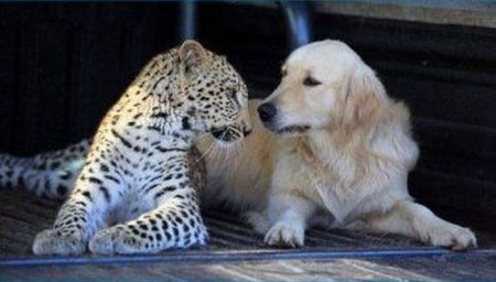 � ����� � ������ ;)