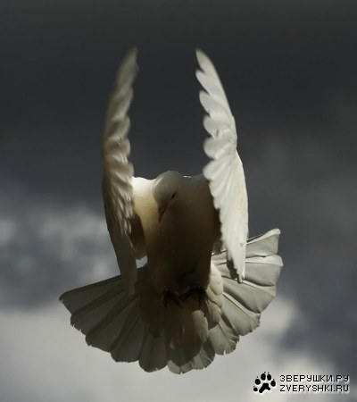 ����� � ����� (10 ����)