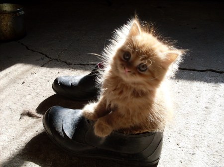 ��������� ������ ;)