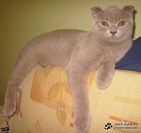 ��� ����� � :)