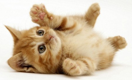 �������� ��� ���! ;)