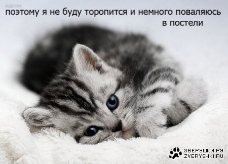 ������ �� ������...