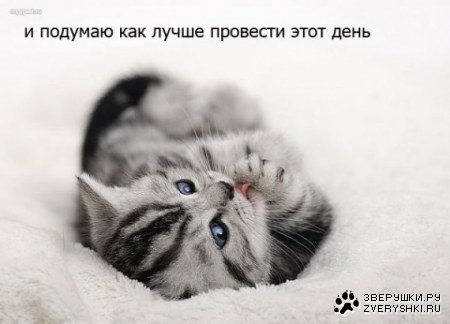 ������ �� ������...