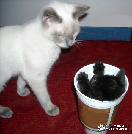 �������, ��������! :)