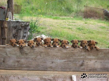 ��������� ������ �� ������� :)