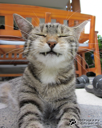 ���-������ :)