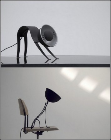 ����, ������� ����� ������ �� �����!