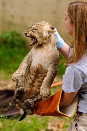 ��������� "������� ����������" :)