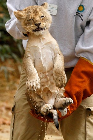 ��������� "������� ����������" :)