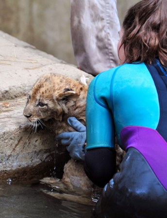 ��������� "������� ����������" :)