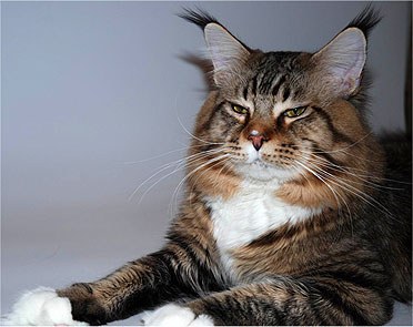 ����-��� - ����� ������� ����� � ����!