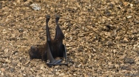 ������� ������� ���� :)