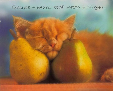 �������� �������� � �������� (2 ����)