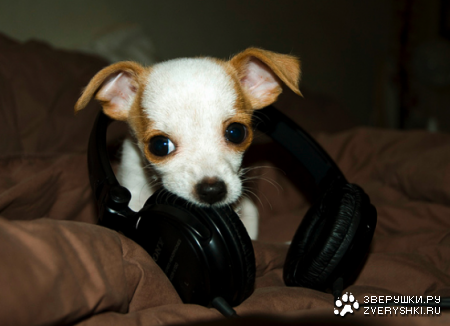 � ��������-�� �������� :)