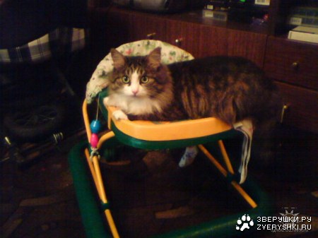 ������ �������������, ������ ��� ������� :)