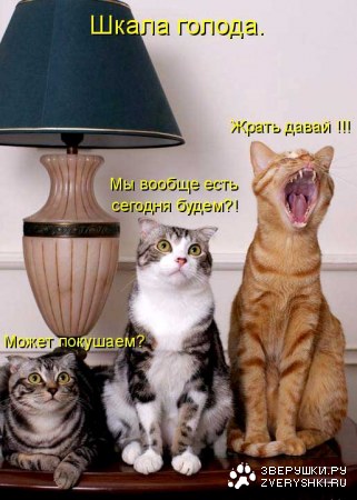 ����� ������ :)