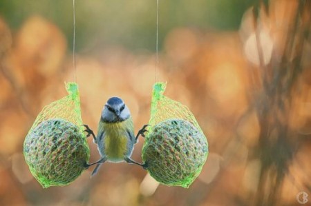 ������-������� ;)