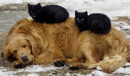 ������ ���������� ;)