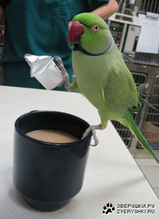 �������? :)