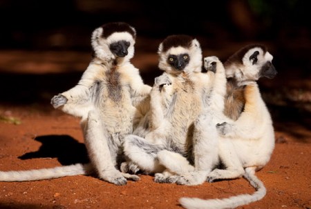 ��������� ������ (9 ����)