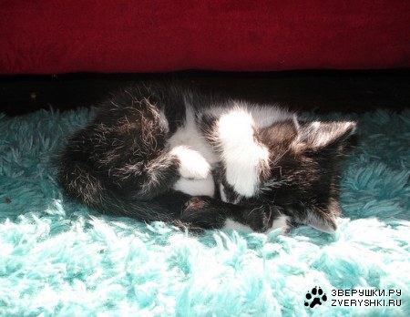 ������ �� ���� ;)